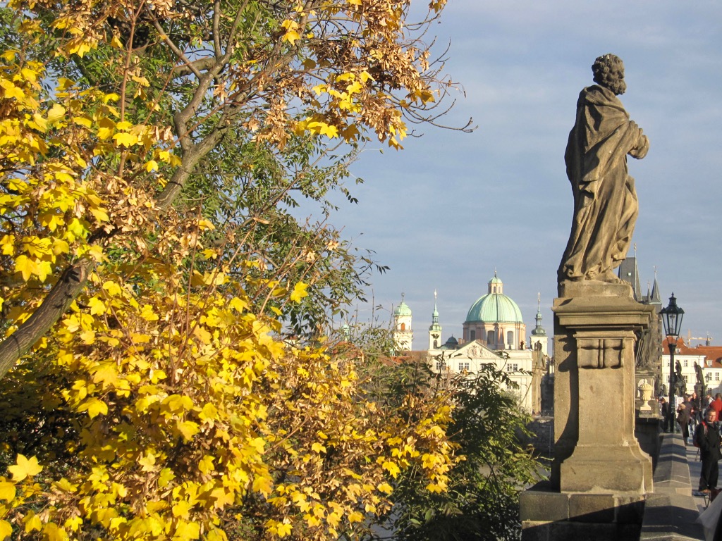 Yellow leaves next to Charles Bridge