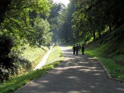 Prague Stag Moat