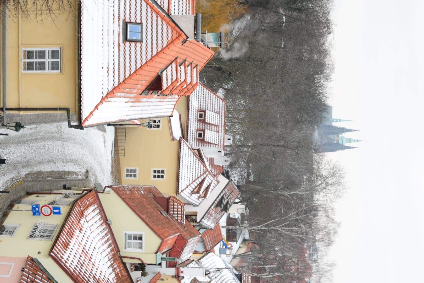 Looking down at Novy Svet with Prague Castle in the background