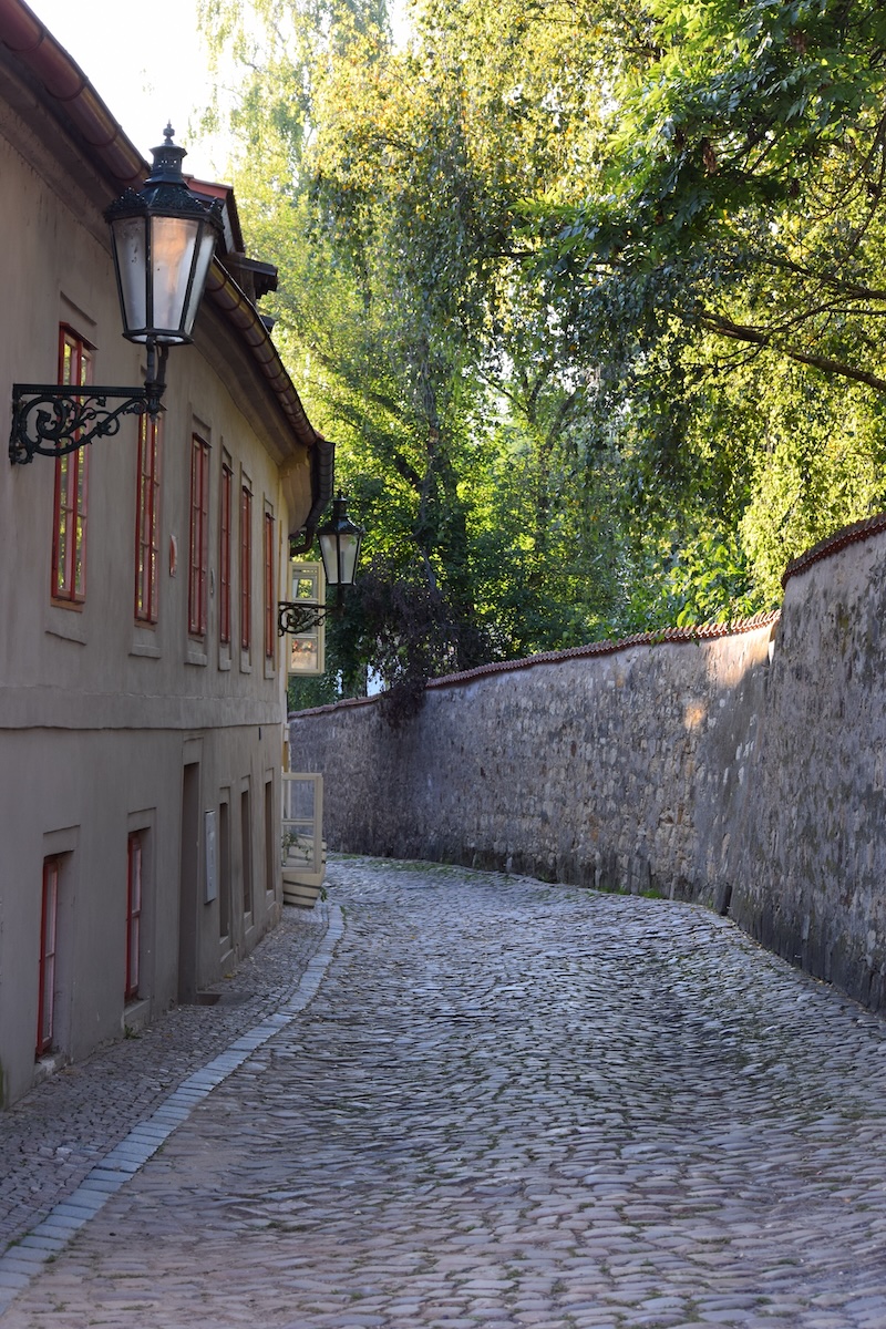 Novy svet street in Prague with trees  Novy svet street in Prague with trees