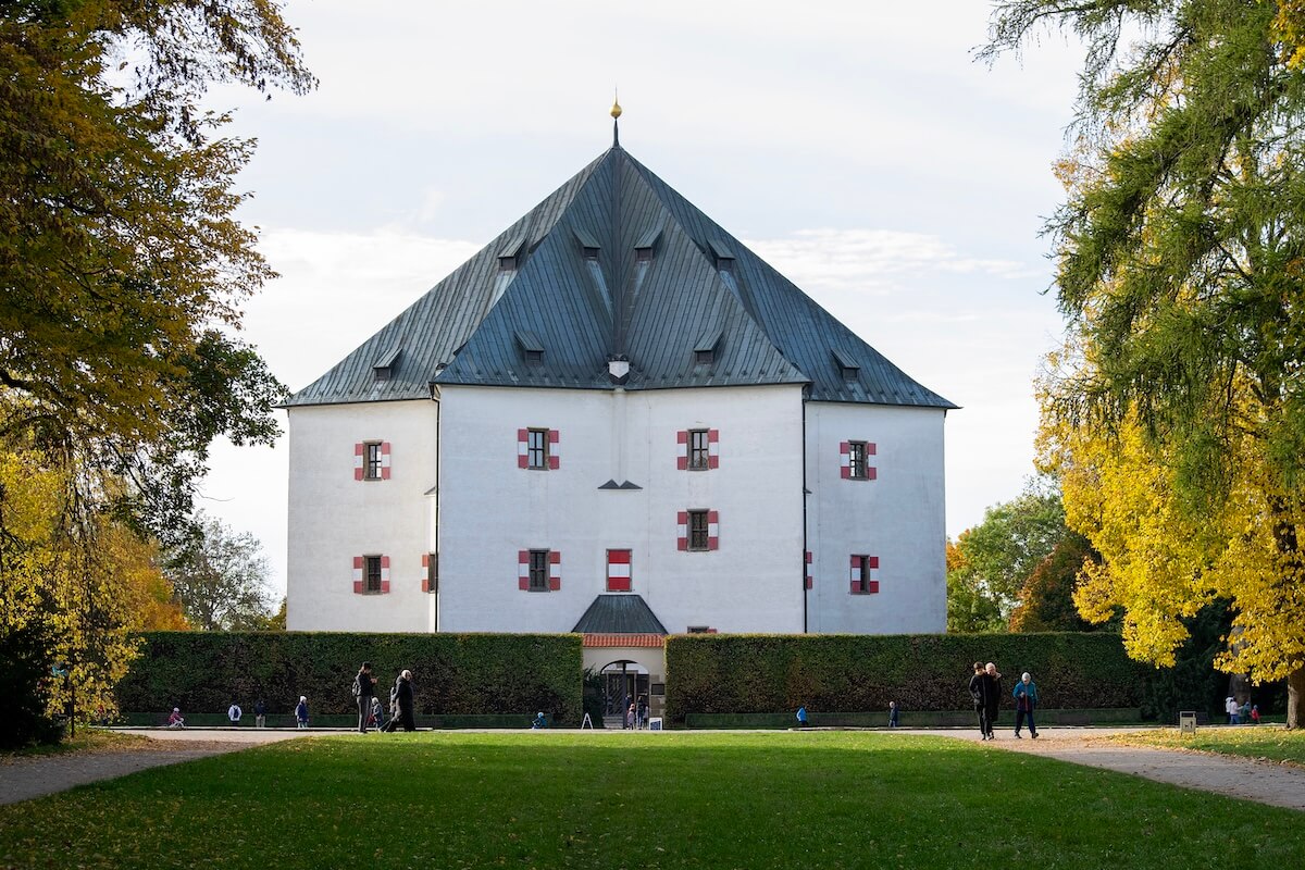 Horizontal of Star palace trees and grass