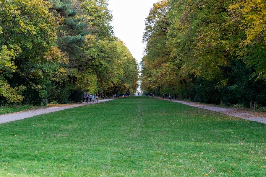 Trees along main path in Hvezda
