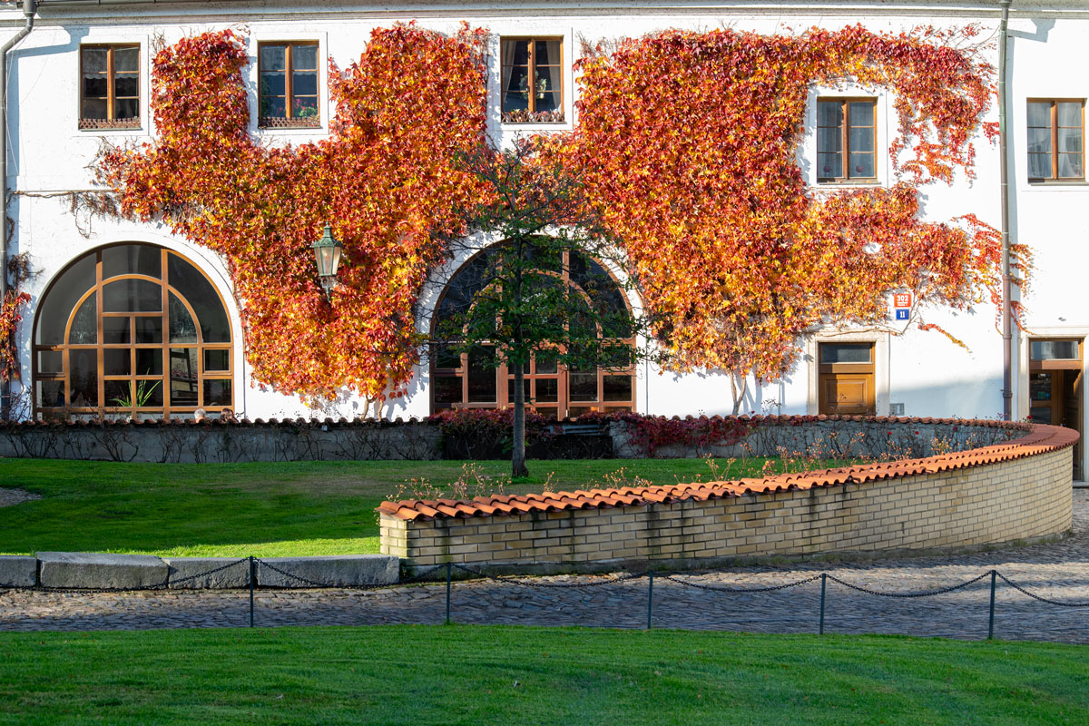 strahov autumn leaves on restaurant building